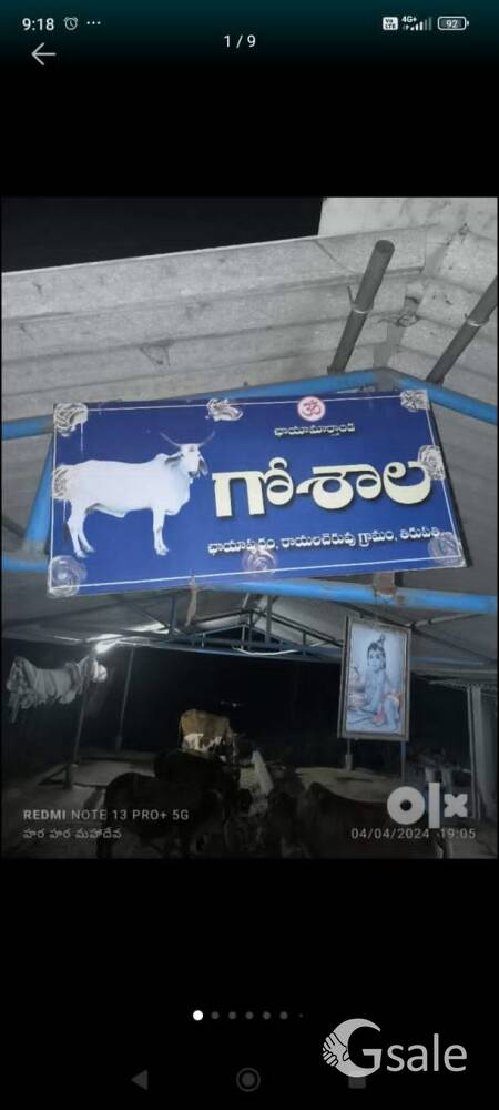 Job Goshala workers