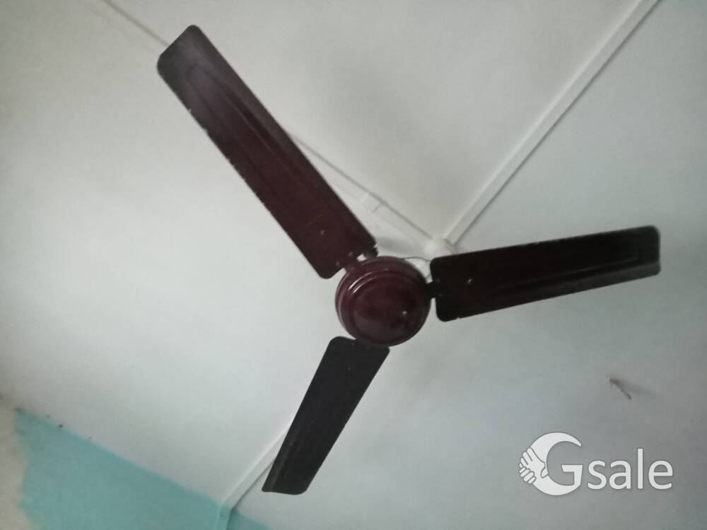 Orient Ceiling Fan 