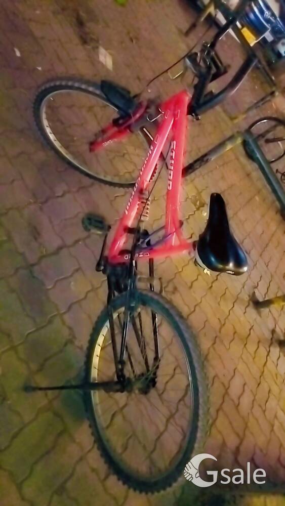 new Rocking bicycle ✅