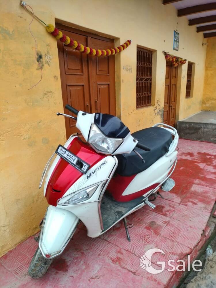 maestro For sell