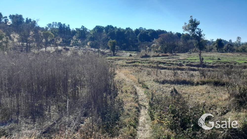 plot for sale