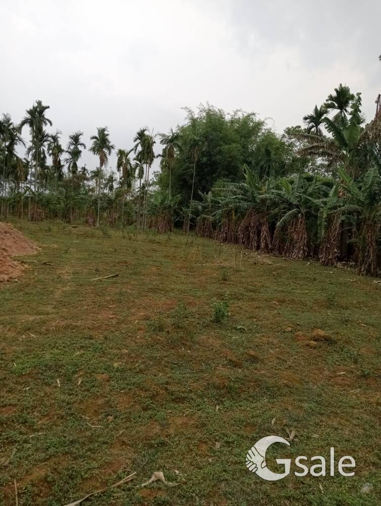 Dhupdhara 