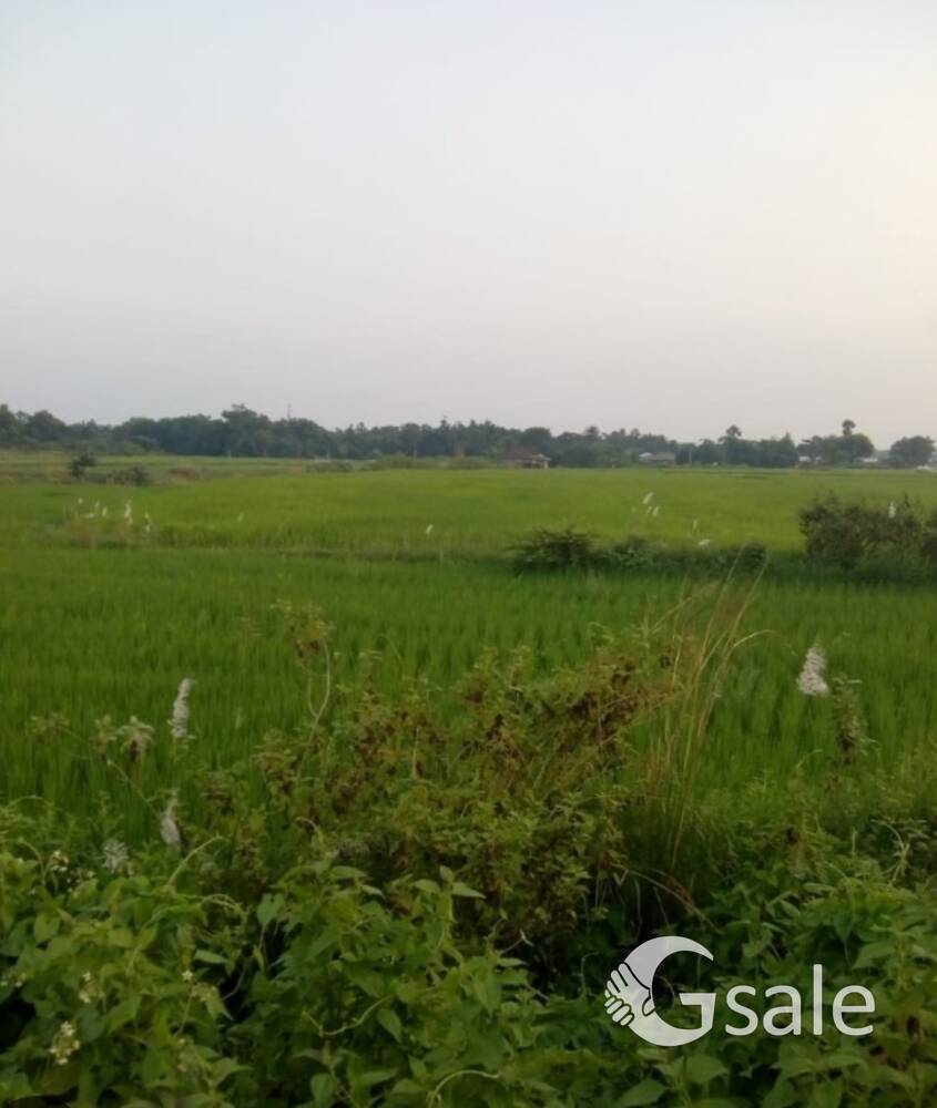 1 kanal zameen 