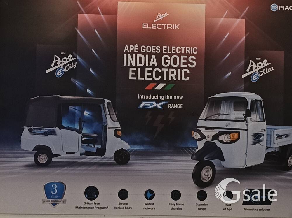 APE ELECTRIC E-CITY FX MAX