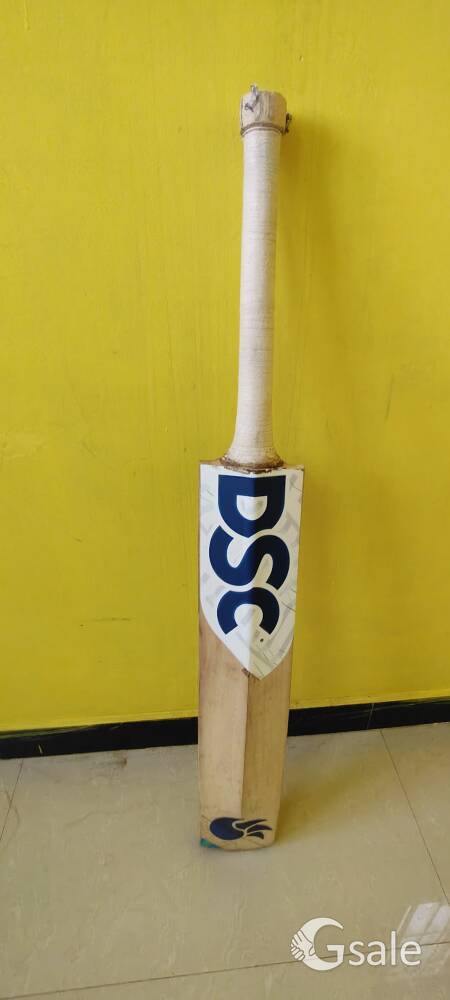 cricket bat