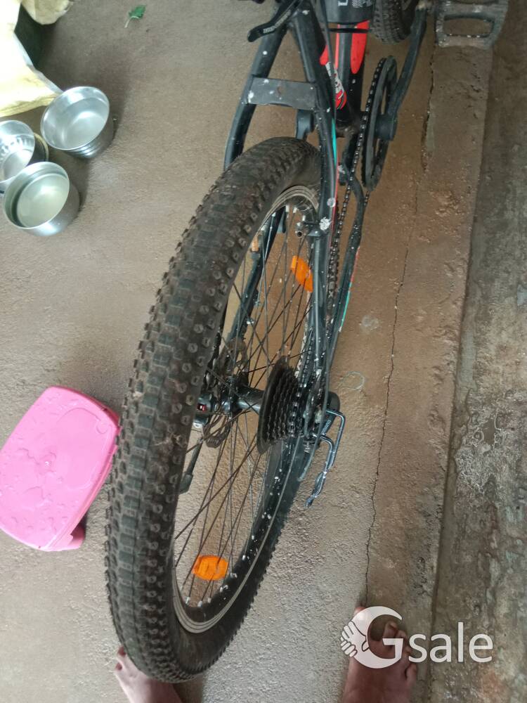 best gear cycle 