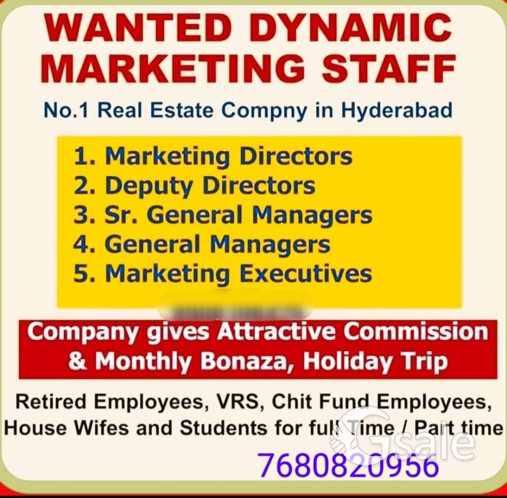 WE ARE LOOKING IN MARKETING EXECUTIVE 