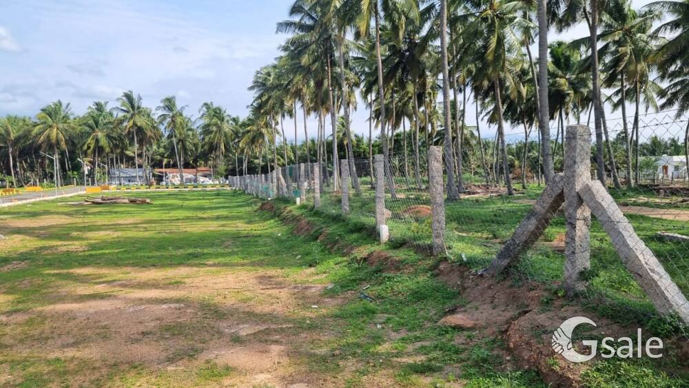 NALLAMMAL NAGAR