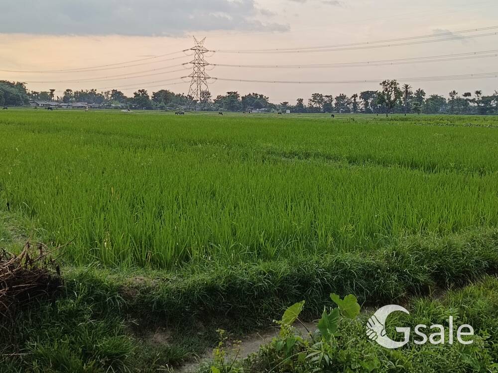 आइटीबीपी कैंप के पास 6 कट्ठा का प्लॉट