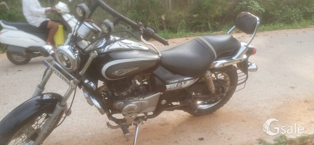 ashok cobra