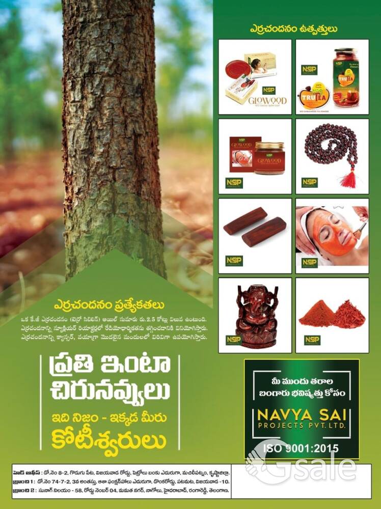 NAVYA SAI PROJECT PVT LTD 