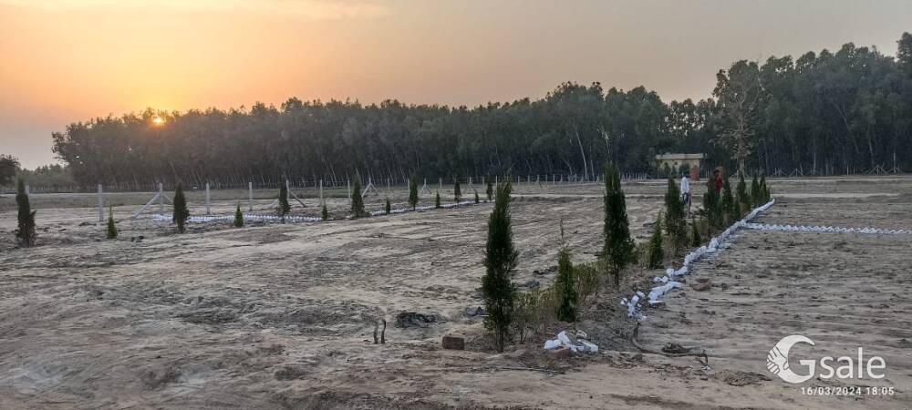 plot for sale 