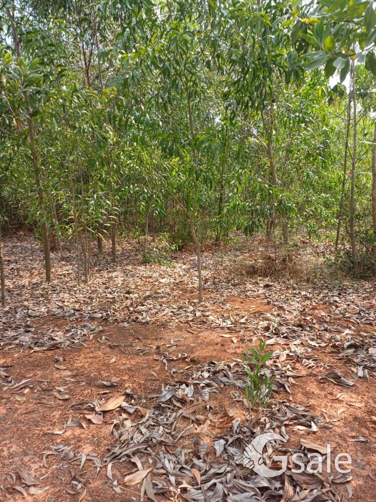 Land for sale 