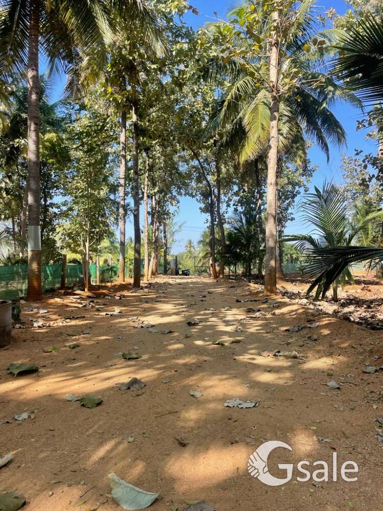 selling of agricultural farm land 