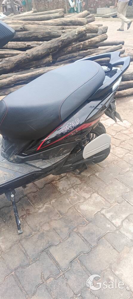 Joy Wolf Model NO PROBLEM ONE MONTH OLD URGENT NEED MONEY 