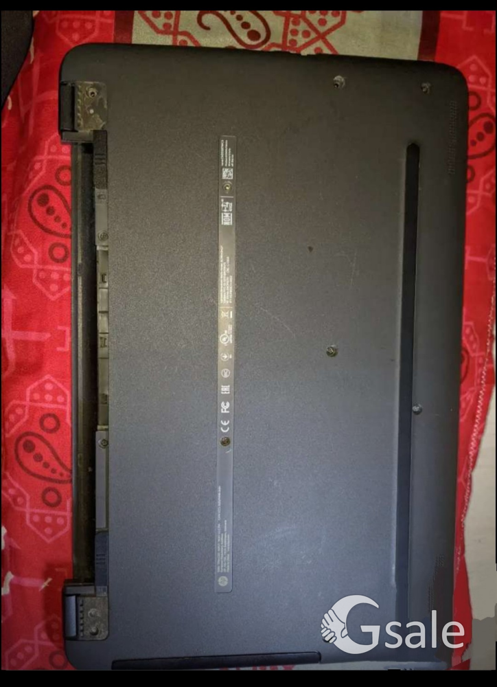 image 4
