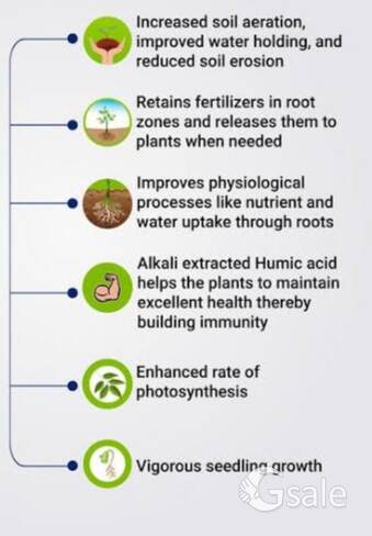 boss rootking  soil and spray 