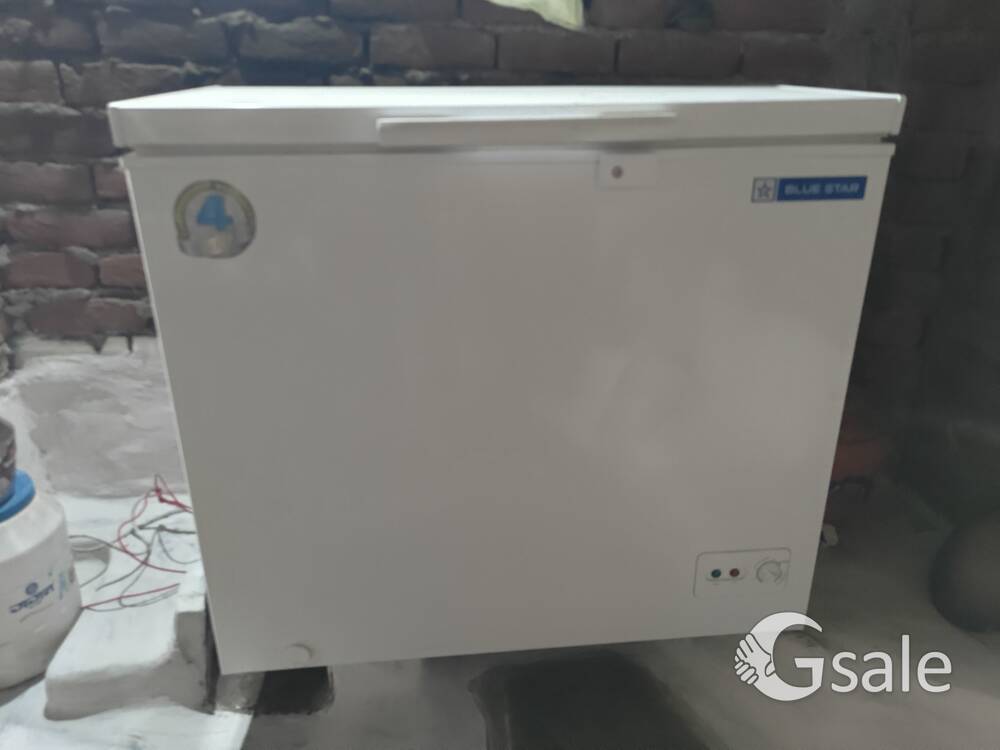 Blue star 200 L single door