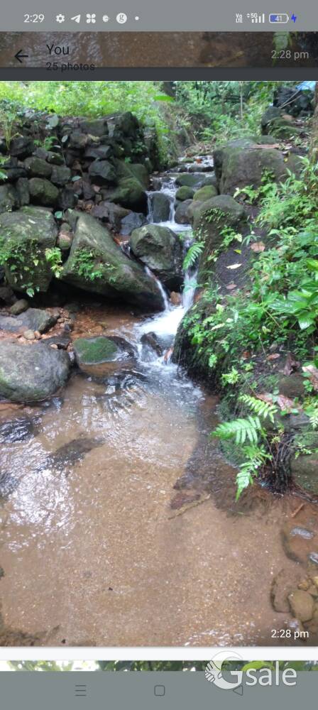 3acre land for sale in panamkutty