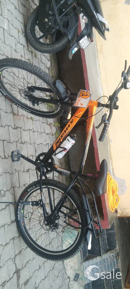 ARGON 26X2.4 ( 5 MONTH 0LD