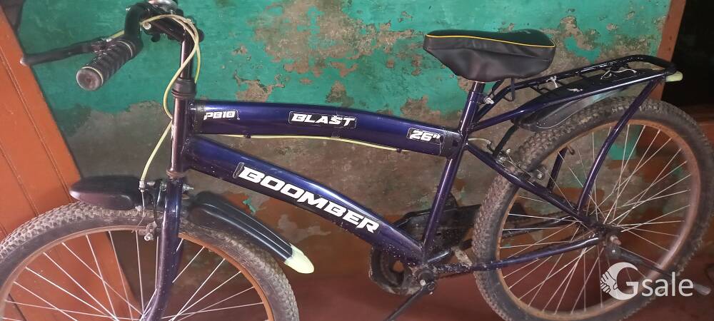 Boomber (Blast) Cycle