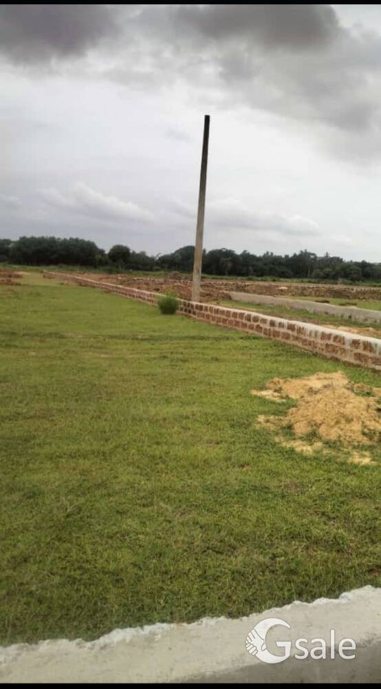 very very low price plot Basudha nagar 
