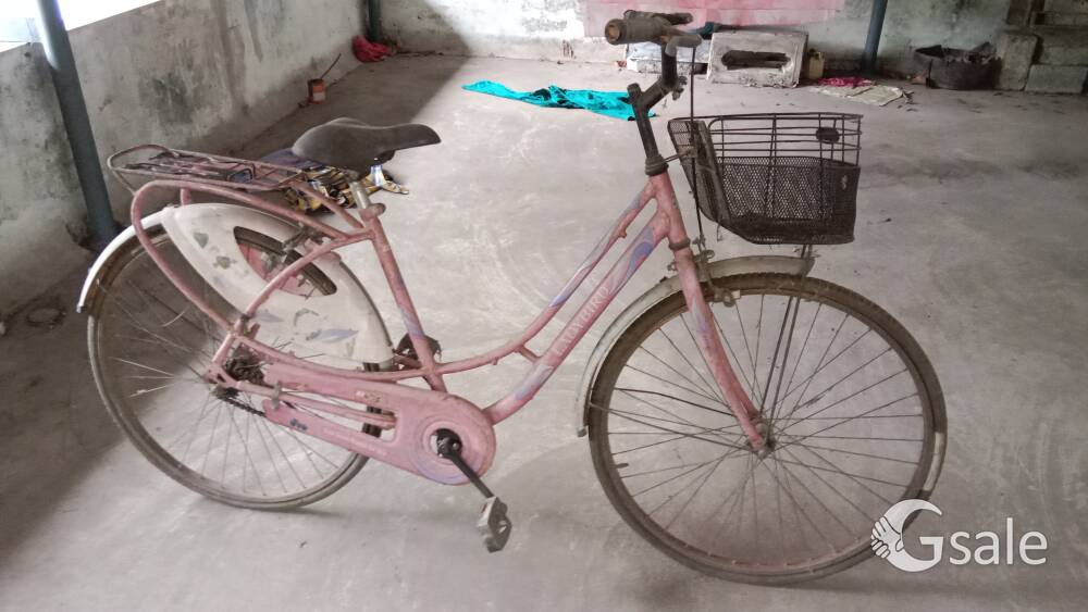 bsa Lady bird cycle 