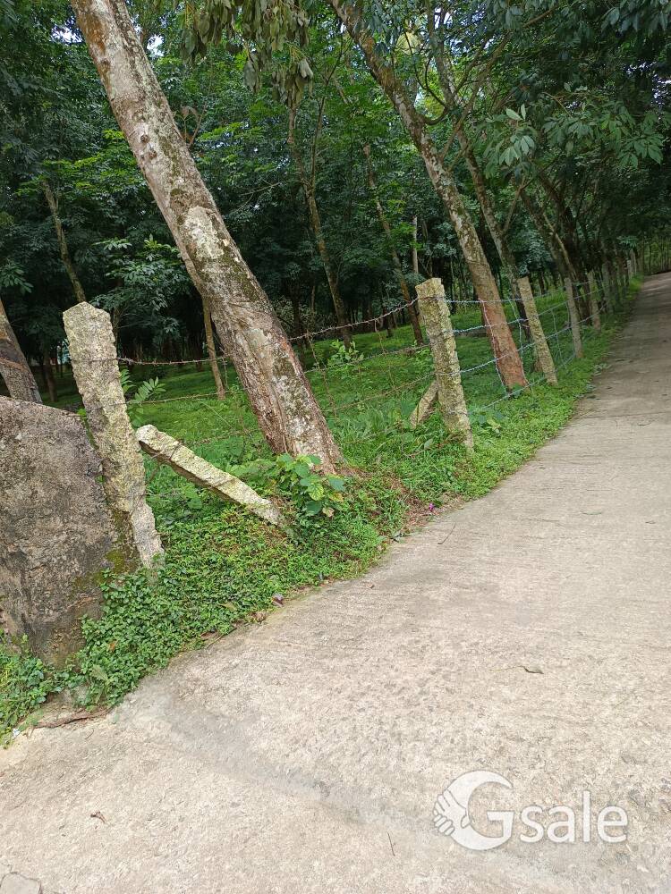 2.75acre land
