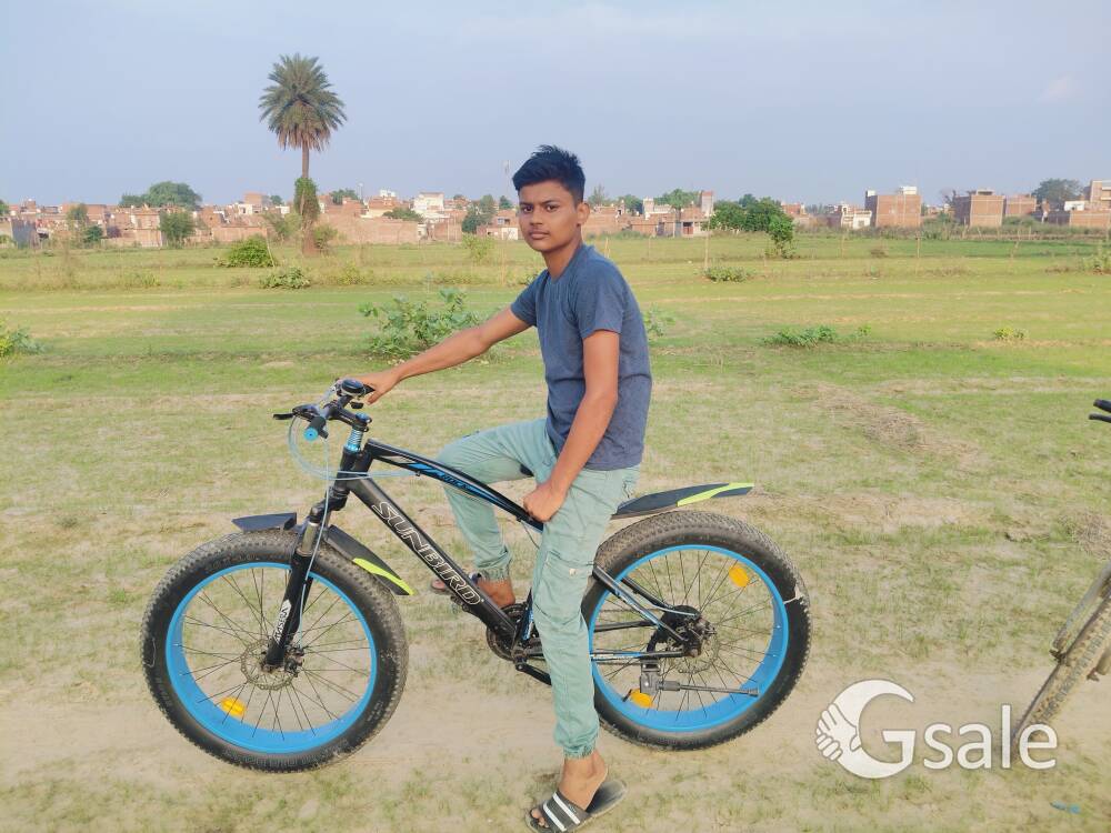 Sunbird heavy tires cycle 