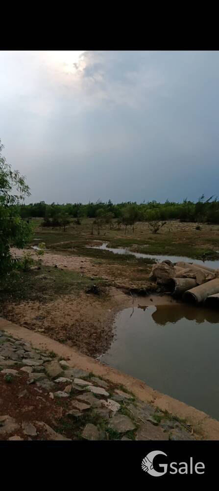 Girija plots 