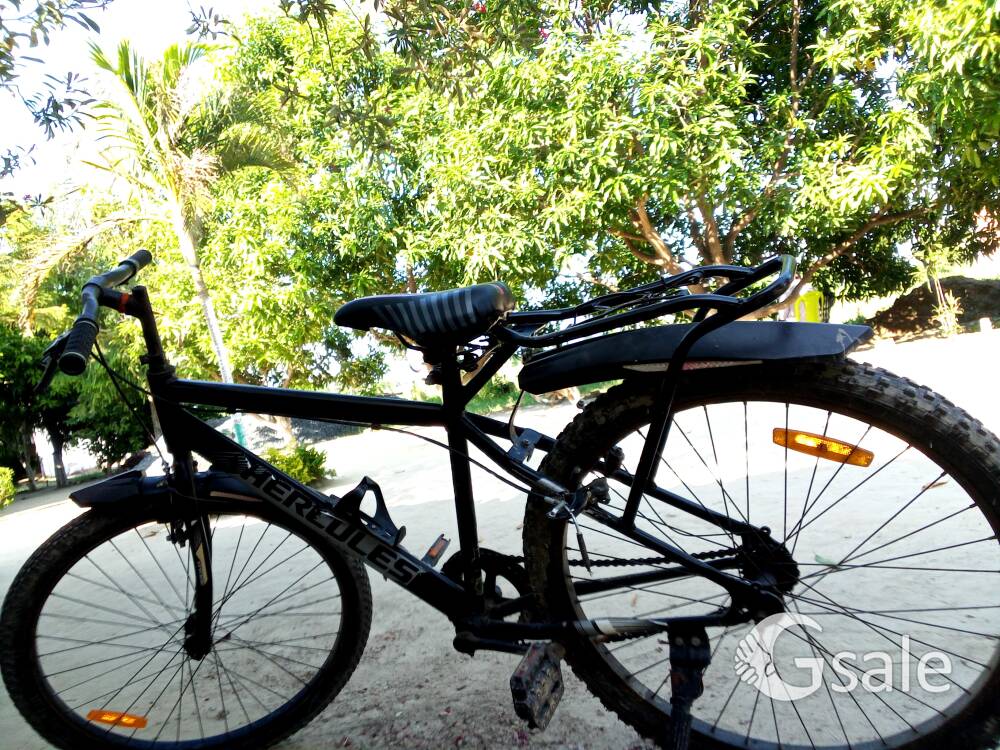 Cycle  on sell