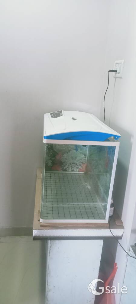 two fish aquarium well condition 