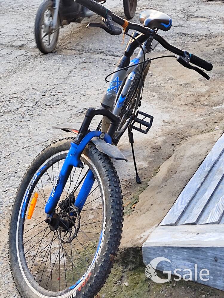 1 year old this cycle and not open tha tayer 