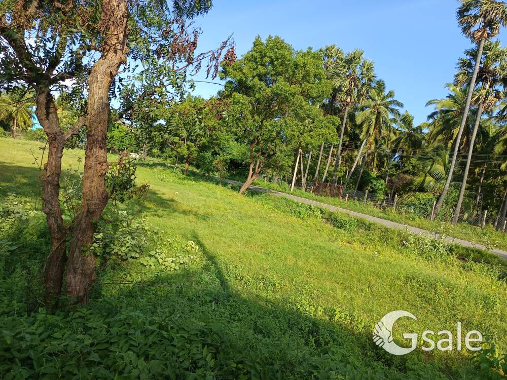 1.5acre near four way