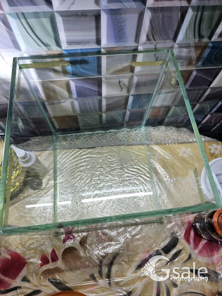 Clear glass Aquarium 
