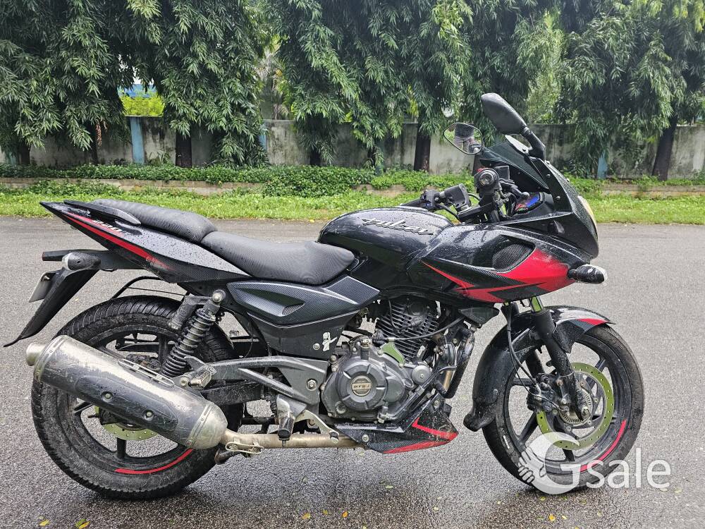 Pulser 220f  2019