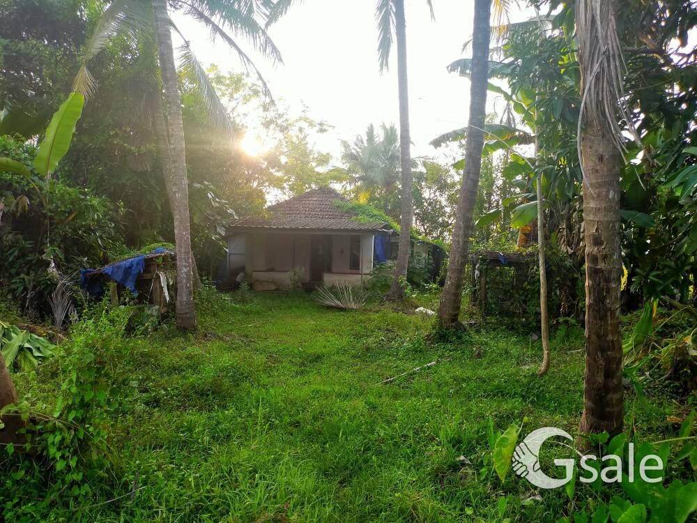 land sale in Kuttiyeri,Taliparamba,Kannur