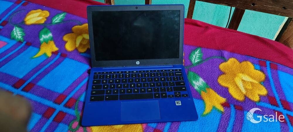 hp chrome book 