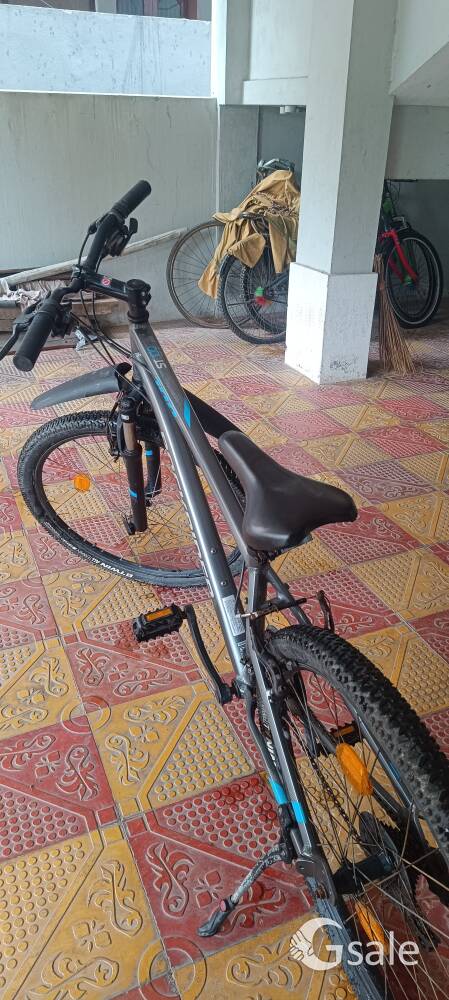 St 100 rockbird