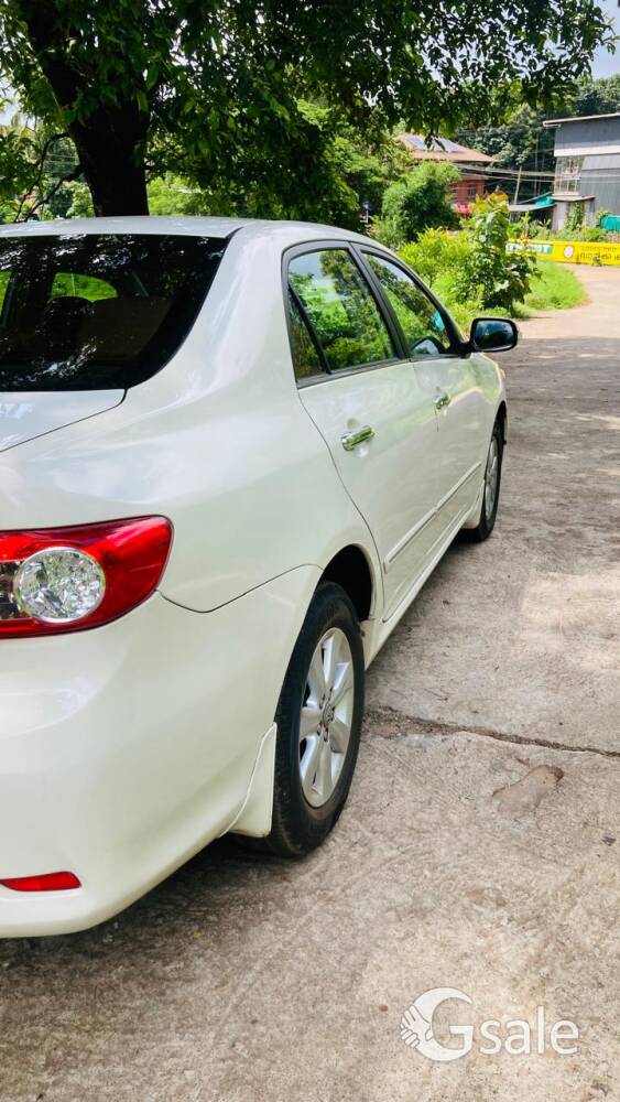 tayota corala