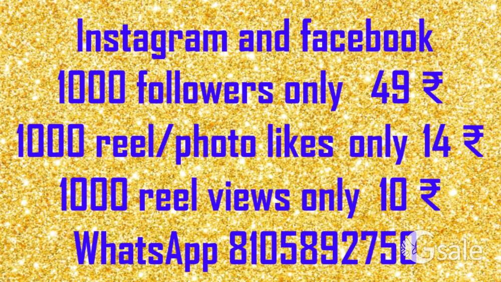 Instagram and facebook services