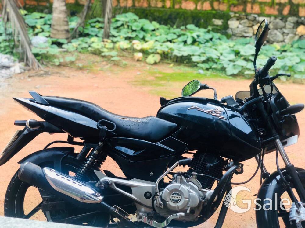 bajaj palser