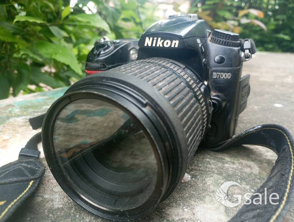 camera 90D 