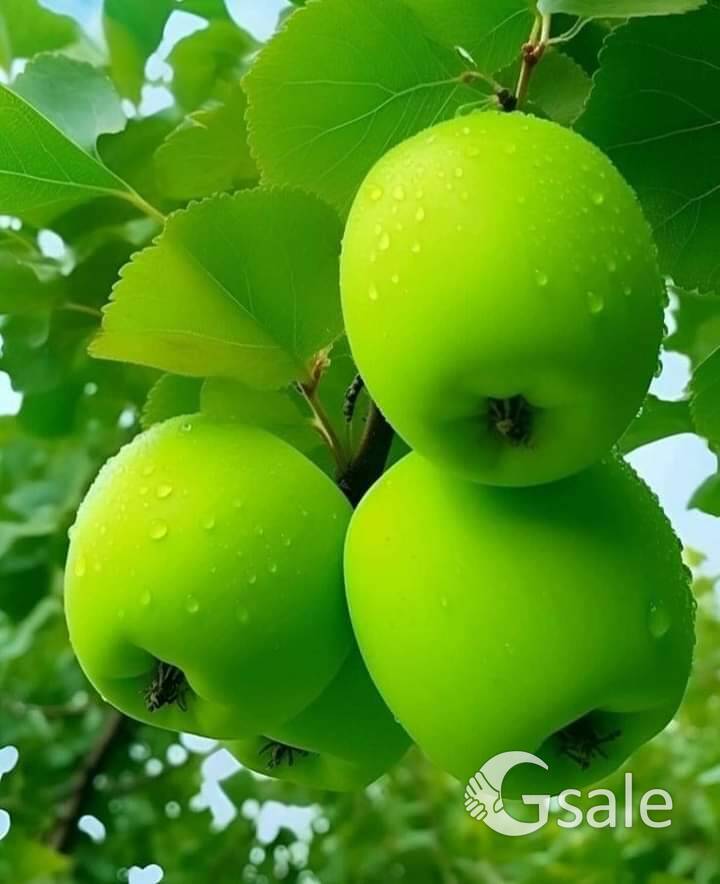 Need Daily basis job