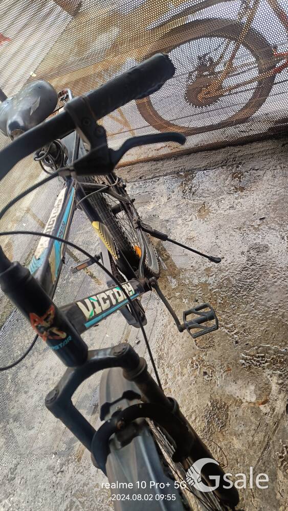 cycle.    