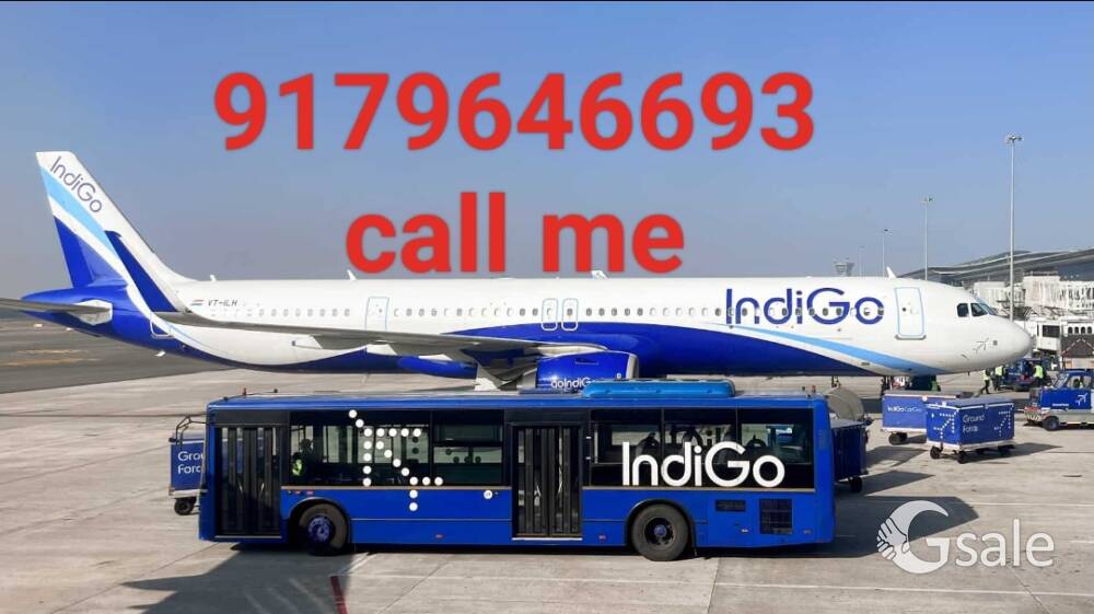Indigo Airlines airport
