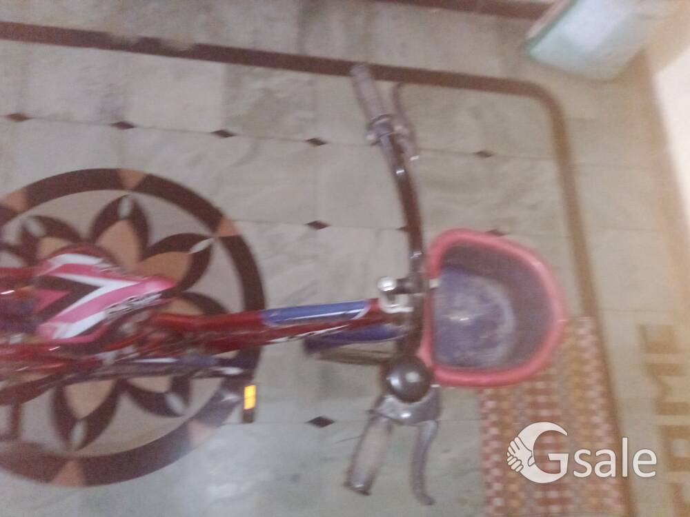 BSA Agent X