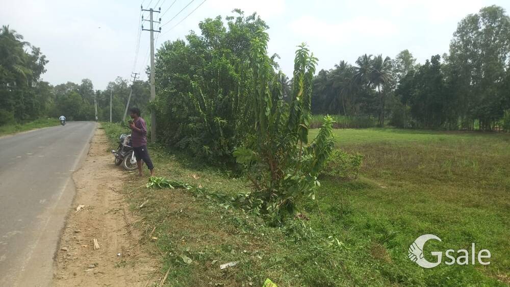 commercial Land for sell near K.M Doddi