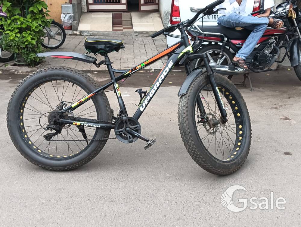 fat cycle 