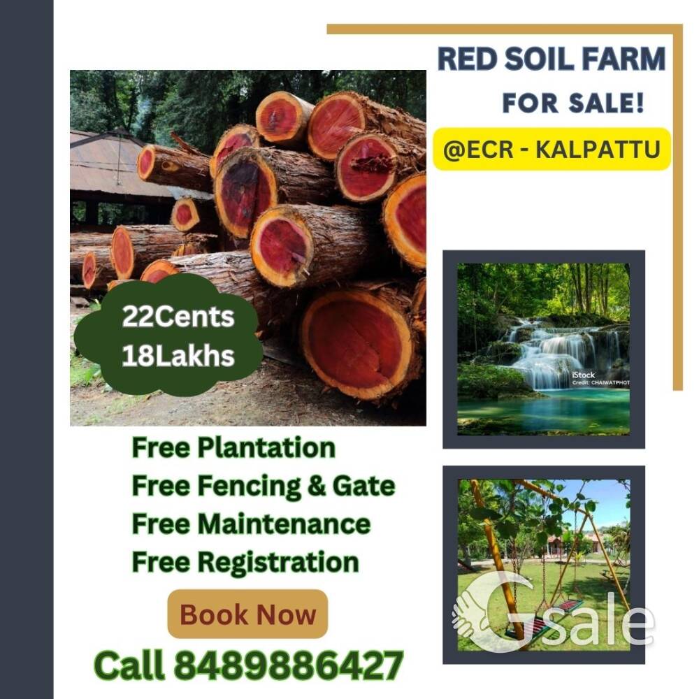 Agriculture Farm land sale 